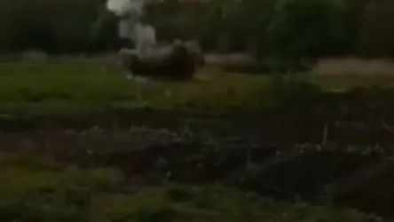 ՏԵՍԱՆՅՈՒԹ․ Համացանցում  են հայտնվել Բելգորոդի շրջանի Սոլոխի գյուղի գնդակոծության կադրերը