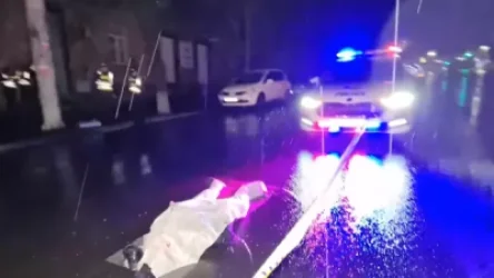 ՏԵՍԱՆՅՈՒԹ` այսօր Կիևան փողոցում տեղի ունեցած ողբերգական վրաերթից