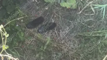 54-ամյա տղամարդը էլեկտրահարման եղանակով ձուկ որսալու ժամանակ հոսանքահարվել և տեղում մահացել է