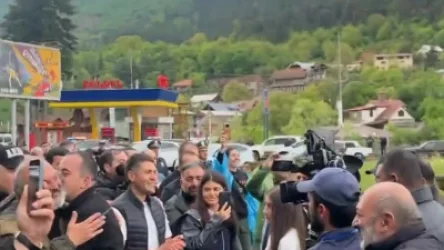 ՏԵՍԱՆՅՈՒԹ. Քայլերթի մասնակիցները հասան Դիլիջան