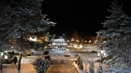 Ապարանն այս տարի չեն զարդարի․ հայտնի է, թե ինչու