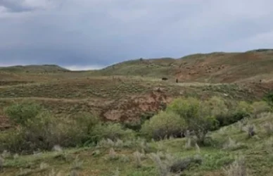 Հացավան գյուղի դաշտերում քաղաքացին ճանապարհից ձիով ընկել է մացառուտի մեջ