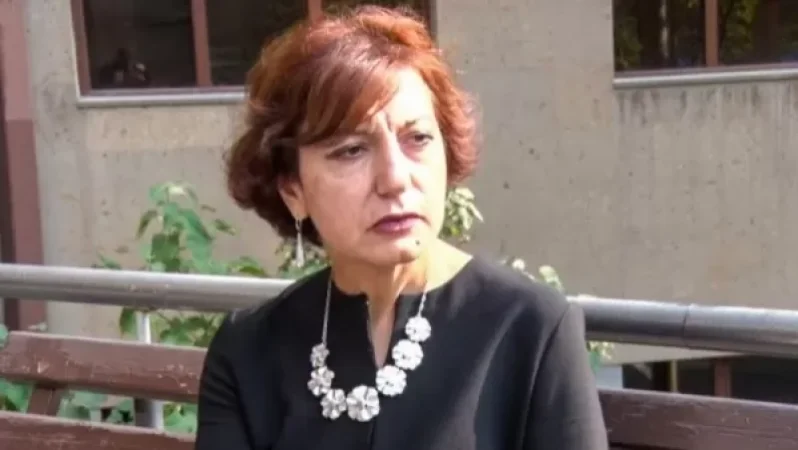 Կառավարության ներսում Ամուլսարի հանքի շահագործման հարցում չկա միասնական դիրքորոշում. Նարինե Դիլբարյան