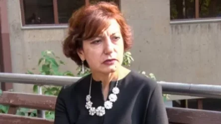 Կառավարության ներսում Ամուլսարի հանքի շահագործման հարցում չկա միասնական դիրքորոշում. Նարինե Դիլբարյան