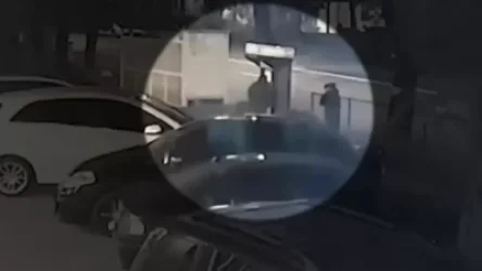 ՏԵՍԱՆՅՈՒԹ. Ինչպես են Երևանում երիտասարդները փորձում թալանել տերմինալը