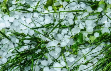 Անձրև, ամպրոպ, կարկուտ և քամու ուժգնացում․ եղանակն առաջիկայում