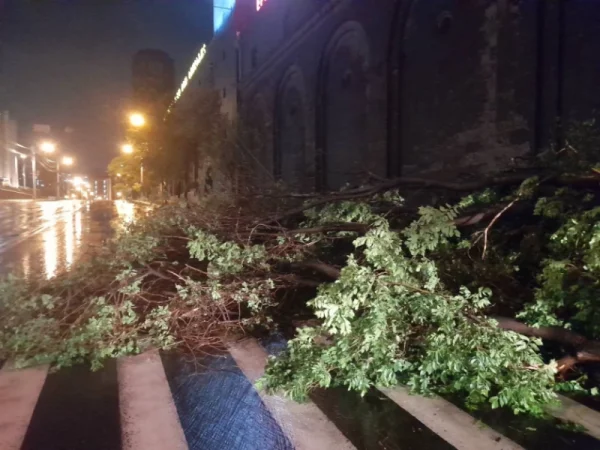 ԼՈՒՍԱՆԿԱՐՆԵՐ․ Երևանում ծառերը տապալվել են`  փակելով ճանապարհի երթևեկելի հատվածը