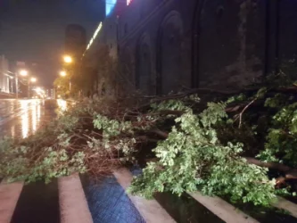 ԼՈՒՍԱՆԿԱՐՆԵՐ․ Երևանում ծառերը տապալվել են`  փակելով ճանապարհի երթևեկելի հատվածը