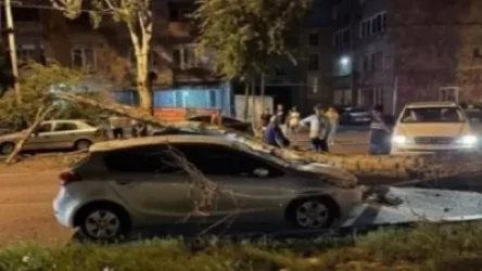 Աբովյան քաղաքում ծառն ընկել է կայանած ավտոմեքենաների վրա