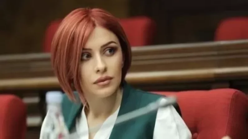 Հերթական շուստրիությունը. Լյովա Եղիազարյանը՝ Ագնեսա Խամոյանի գրառման մասին