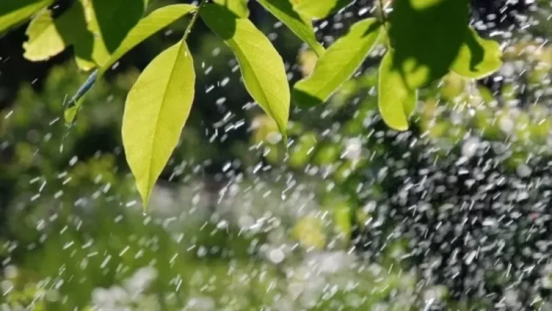 Երբ կդադարեն անձրևները. առաջիկա օրերի եղանակային կանխատեսումը