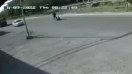 ՏԵՍԱՆՅՈՒԹ. Ինչպես է ուղևորը դանակահարել վարորդին. ՔԿ-ն հրապարակել է տեսակադրերը