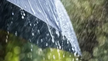 Երևանում երեկոյան ժամերին սպասվում է անձրև