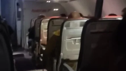 ՏԵՍԱՆՅՈՒԹ. Մայիսի 17-ին Վիեննա-Երևան չվերթի ինքնաթիռը վթարային վայրէջք է կատարել