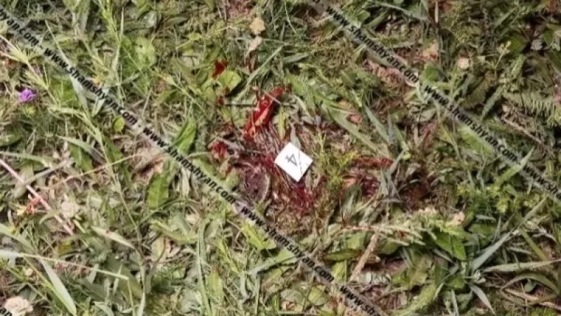 Ապարանում կրակողը մեկ անձ չի եղել. ում են փրկում ՀՀ ոստիկանապետն ու ՔԿ նախագահը․ ArmLur