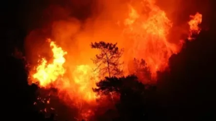 ՏԵՍԱՆՅՈՒԹ․ Թուրքիան՝ խոշոր հրդեհի ճիրաններում