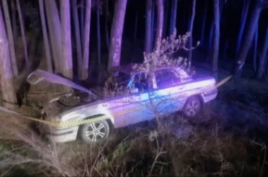 Գեղարքունիքում ավտոմեքենան դուրս է եկել փողոցի երթևելի մասից` հայտնվելով անտառում. կա տուժած