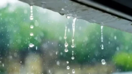 Սպասվում է անձրև և ամպրոպ