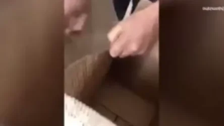 ՏԵՍԱՆՅՈՒԹ․ ԱԱԾ բացահայտումը՝ իրանիցիները փորձել են 3025,76 գրամ քաշով «ափիոն» արտահանել Հայաստանից