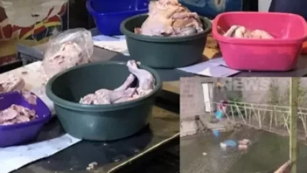 Հավի միսը «լողում» է լոգարանում. ի՞նչ կապ ունի բոլորին զայրացրած տեսանյութը ՍԱՏՄ ստուգման հետ