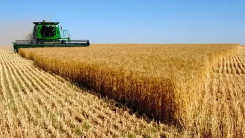 Այսօրվանից արգելվում է. Վրաստանից ՀՀ ցորեն ու գարի չի արտահանվի