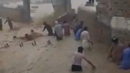 ՏԵՍԱՆՅՈՒԹ. Պակիստանում հեղեղումներ են. ջրի տակ է մնացել մոտ 300 գլուխ անասուն