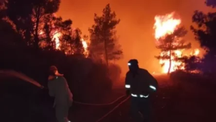 ՏԵՍԱՆՅՈՒԹ․ Խոշոր անտառային հրդեհներ՝ Թուրքիայում․ կա 19 զոհ