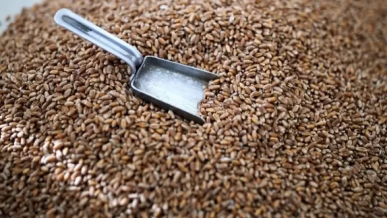 Արգելվել է հացահատիկի արտահանումը Արցախի տարածքից