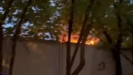 ՏԵՍԱՆՅՈՒԹ. Հրդեհ՝ Մոսկվայի Յաուզա այգում. այն չի հաջողվում մարել