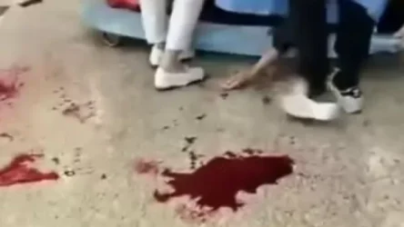 ՏԵՍԱՆՅՈՒԹ. Շանհայում անհայտ անձը դանակով մտել է մանկական հիվանդանոց. 2 երեխա վիրավոր են