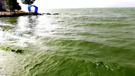 «Թե զբոսաշրջություն ես ուզում զարգացնել, Սևանը կոյուղաջրերից մաքրիր. լիճը կանաչում-կապտում-նեխում է». բնապահպան