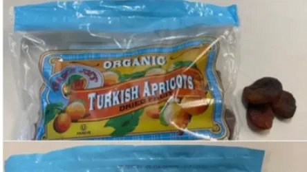 «Այս զավեշտը վերացնելու համար մեկ տարի է պետք»․ Տիգրան Խզմալյան