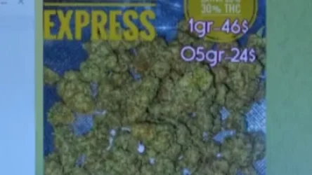 ՏԵՍԱՆՅՈՒԹ․ ՊՆ նախկին ծառայողը՝ 1 մլրդ դրամ շրջանառությամբ թմրամիջոցների բիզնեսի ղեկավար