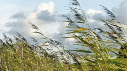 Ինչ եղանակ է սպասվում առաջիկա օրերին