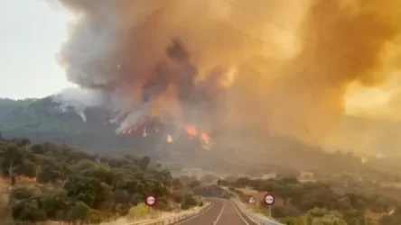 ՏԵՍԱՆՅՈՒԹ. Իսպանիայում մոլեգնում են անտառային հրդեհները. որոշ հատվածներում գրանցվել է մինչև +45℃