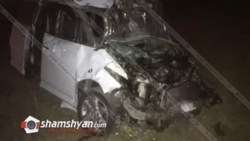 Գեղարքունիքում Honda-ն բախվել է կովին և հայտնվել դաշտում, կա 5 վիրավոր. Shamshyan. com