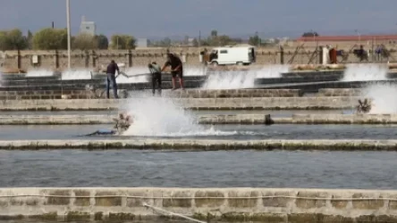 ՏԵՍԱՆՅՈՒԹ․ Համայնքային բյուջեն զրկվել է մեծ գումարներից․ ի՞նչ խնդիր կա ձկնաբուծարանների հետ