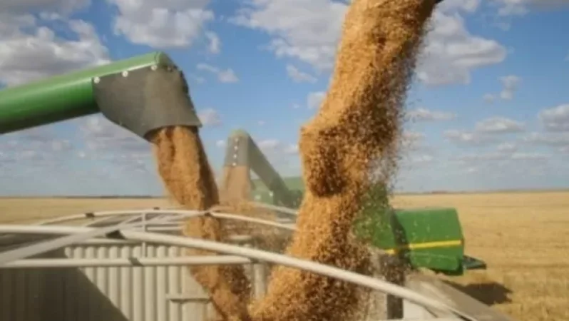 Ուկրաինայից հացահատիկի արտահանումը. ՄԱԿ-ը ժամկետ է նշում