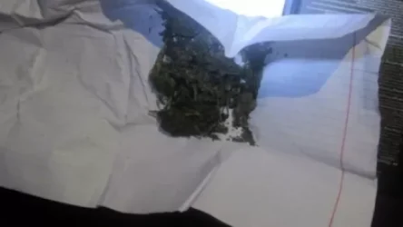 ՏԵՍԱՆՅՈՒԹ. Ապօրինի թմրաշրջանառության դեպք է բացահայտվել. թմրանյութը ձեռք էր բերել «Տելեգրամ» հավելվածի միջոցով