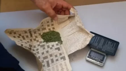 ՏԵՍԱՆՅՈՒԹ․ 39-ամյա կապանցին աշխատավայրում կանեփ է աճեցրել