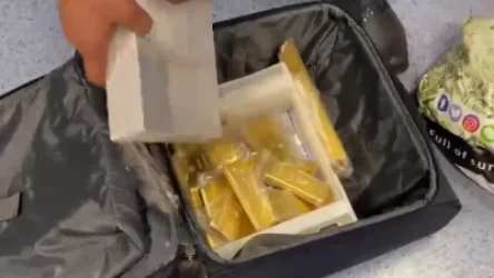 ՏԵՍԱՆՅՈՒԹ. 225 կգ ոսկին ձեռքները հայերն ու ռուսները բերման են ենթարկվել «Վնուկովո» օդանավակայանում