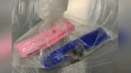 ԱՄՆ-ում ինքնաթիռի ուղևորը մարդկային օրգան է թաքցրել ուղեբեռում