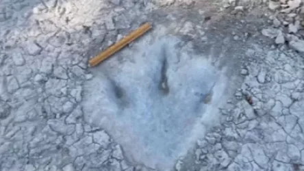 Չորացել է Դինոզավրերի հովտով հոսող գետը և հայտնաբերվել հսկա հետք