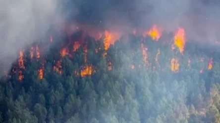 Վրաստանը շնորհակալություն է հայտնել Հայաստանից`  առաջարկված օգնության համար