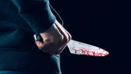 Դեռ ազատության մեջ է․ կնոջը սպանած, հարևաններին դանակահարած տղամարդը նոր սպանություն է գործել