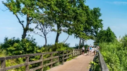 ՏԵՍԱՆՅՈՒԹ․ Երևանում էկոպարկ կկառուցվի․ հայտնի է, թե որ մասում