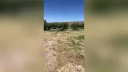 ՏԵՍԱՆՅՈՒԹ. Գառնիի գյուղապետը 2007 թվականին համայնքին պատճառել էր ավելի քան 29-միլիոն դրամի վնաս