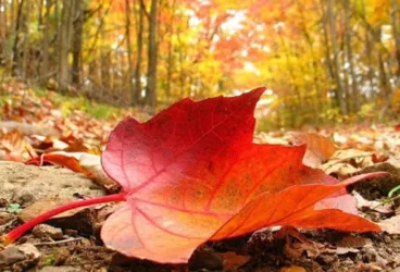 Առաջիկա օրերի եղանակ Հայաստանում