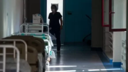 ՀՀ-ում 3 քաղաքացու մոտ հաստատվել է «սիբիրյան խոց»․ ԱՆ