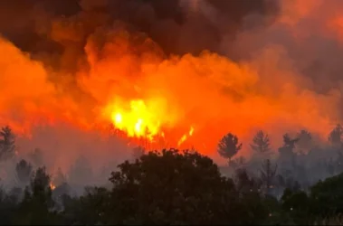 ՏԵՍԱՆՅՈՒԹ. Թուրքիայում կրկին մոլեգնում են անտառային հրդեհները